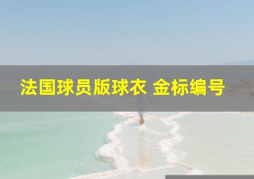 法国球员版球衣 金标编号